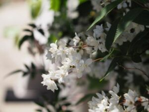 2026年5月3日メッセージ「ベトザタの池での癒し」ヨハネによる福音書5章1～18節
